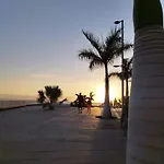 Garden 阿德耶